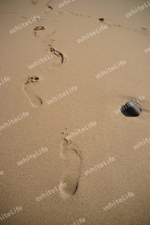 Am Strand