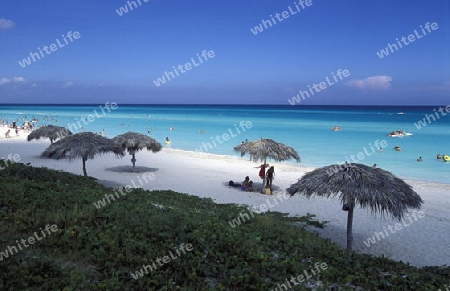 a beach on the coast of Varadero on Cuba in the caribbean sea.