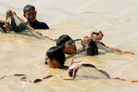 The People at wort in the Lake Village Kompong Pluk at the Lake Tonle Sap near the City of Siem Riep in the west of Cambodia.