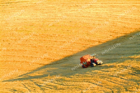 traktor am feld