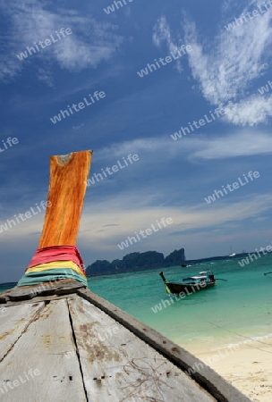 A Beach on the Island of Ko PhiPhi on Ko Phi Phi Island outside of the City of Krabi on the Andaman Sea in the south of Thailand. 