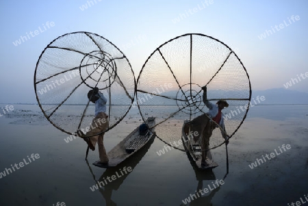 Fishermen at sunrise in the Landscape on the Inle Lake in the Shan State in the east of Myanmar in Southeastasia.