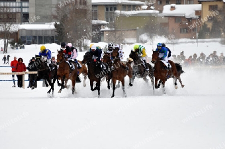 White Turf 2009 St.Moritz