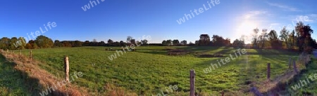 Beautiful high resolution panorama of a northern european country landscape with fields and green grass.