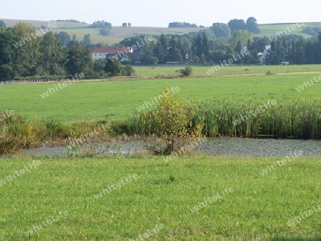 Kleiner Teich