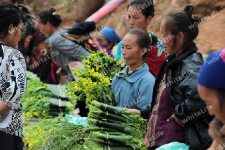 Ein Markt in der Bergregion beim Dorf Muang Phou Khoun an der Nationalstrasse 13 zwischen Vang Vieng und Luang Prabang in Zentrallaos von Laos in Suedostasien.  