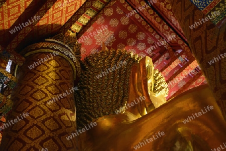 A allday ceremony in the Wat Phanan Choeng Temple in City of Ayutthaya in the north of Bangkok in Thailand, Southeastasia.