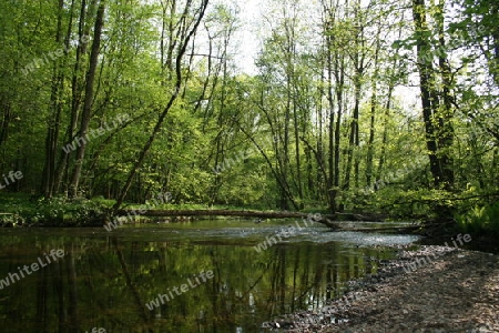 Fluss, Bach, Landschaft, Flusslandschaft,