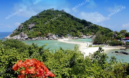 Insel Koh Thao