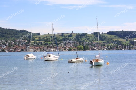 Landschaft mit Feldern und Baeumen und Blick auf den Bodensee