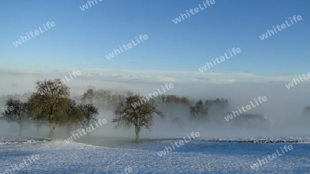 Morgenstimmung mit Nebel