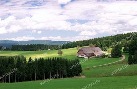 Bauernhof im Schwarzwald