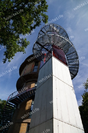 the Biorama observation tower