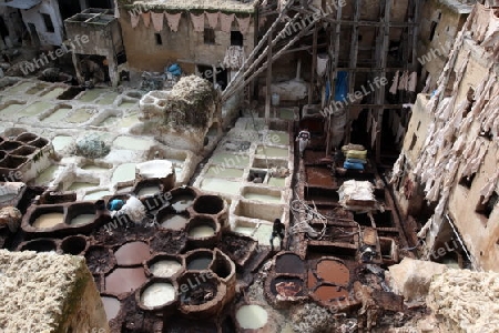 The Leather production in the old City in the historical Town of Fes in Morocco in north Africa.