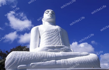 Eine Buggha Figur in Kandy im sueden von Sri Lanka in Asien.