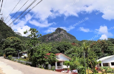 Beautiful impressions of the tropical landscape paradise on the Seychelles islands