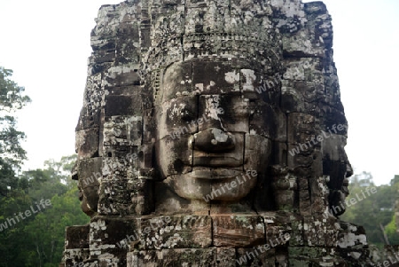 Stone Faces the Tempel Ruin of Angkor Thom in the Temple City of Angkor near the City of Siem Riep in the west of Cambodia.