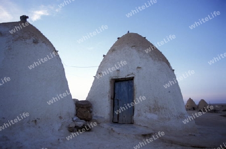 Die traditionellen Lehmhaeuser in den Bauerndoerfer wie Sarouj bei Hama in Zentralsyrien in Syrien im Mittleren Osten in Arabien.