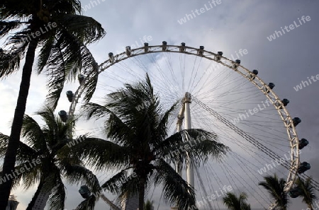 Das Riesenrad an der Marina Bay in Singapur im Inselstaat Singapur in Asien.