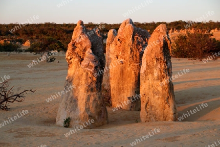 Pinnacle Desert - Cervantes, Western Australia