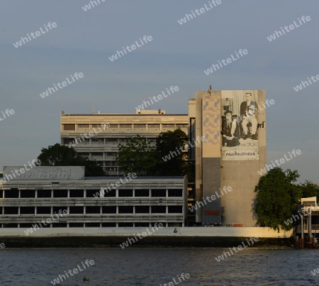 Ein Bild der Koenig Bhumibol  in der Stadt Bangkok in Thailand in Suedostasien.