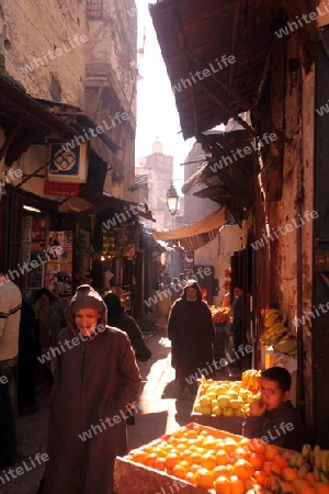 a smal Marketroad in the Medina of old City in the historical Town of Fes in Morocco in north Africa.