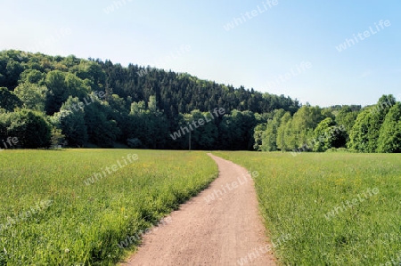 Weg durch Wiesen