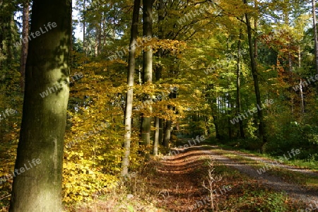 Herbstnachmittag