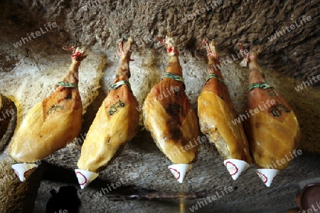 A  Restaurant in a cave in the Barranco de Guayadeque in the Aguimes valley on the Canary Island of Spain in the Atlantic ocean.