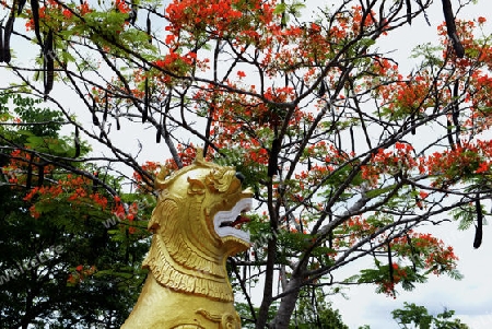 Der Tempel Wat Phra That Doi Kong Mu ueber dem Dorf Mae Hong Son im norden von Thailand in Suedostasien.