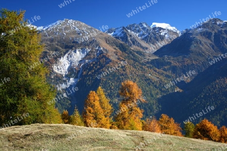 Alp Craistas