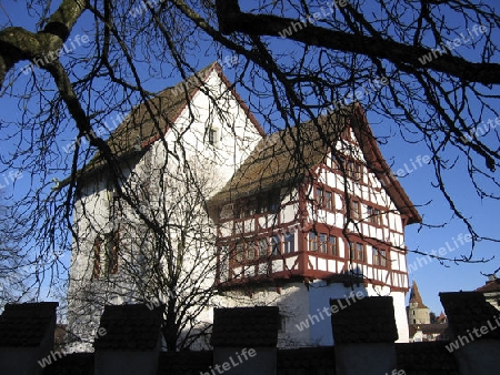 Burg in Zug