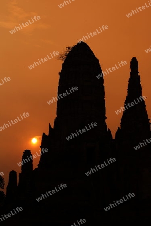 Der Wat Chai Wattanaram Tempel in der Tempelstadt Ayutthaya noerdlich von Bangkok in Thailand. 