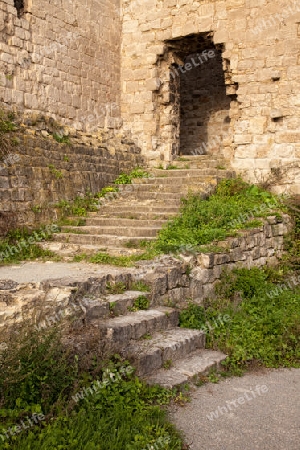 alte Treppe zur Rudelsburg