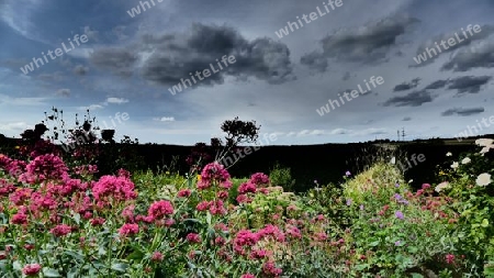 Wolken