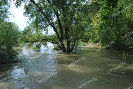 Hochwasser Rhein-Neckar