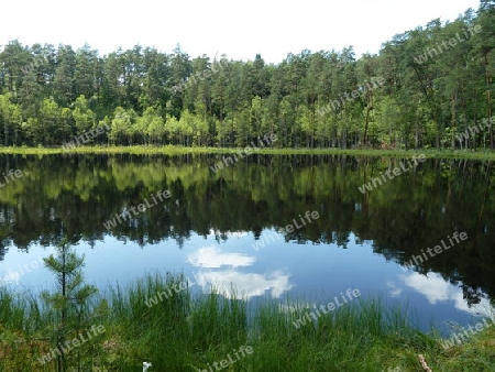 Moorsee in Masuren