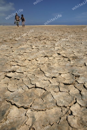 the Playa de Satovento de Jandia on the south of the Island Fuerteventura on the Canary island of Spain in the Atlantic Ocean.