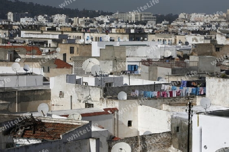 Afrika, Tunesien, Tunis, Altstadt, Medina, Souq, Altstadt,
