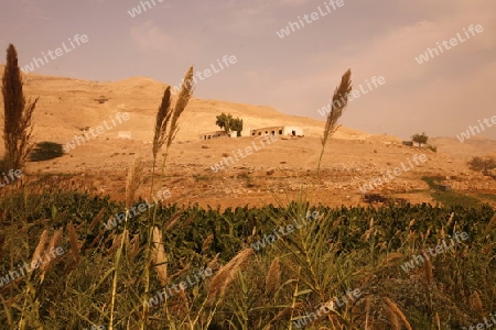 the Landscape near the City of Salt in Jordan in the middle east.