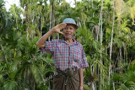 a farmer in a village near the city of Myeik in the south in Myanmar in Southeastasia.