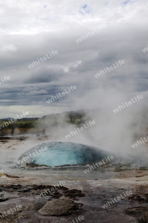 Geysir