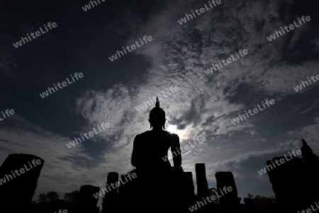 Eine Buddha Figur  im Wat Mahathat Tempel in der Tempelanlage von Alt-Sukhothai in der Provinz Sukhothai im Norden von Thailand in Suedostasien.