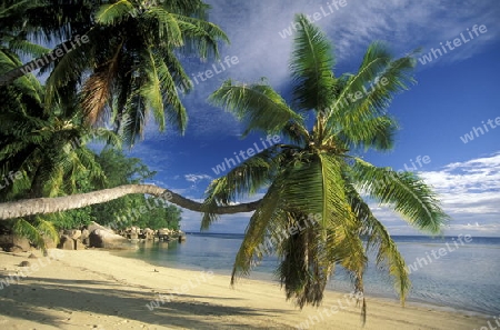 Ein Traumstrand auf der Insel La Digue der Inselgruppe Seychellen im Indischen Ozean in Afrika.