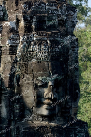 Stone Faces the Tempel Ruin of Angkor Thom in the Temple City of Angkor near the City of Siem Riep in the west of Cambodia.