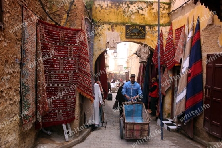 a smal Marketroad in the Medina of old City in the historical Town of Fes in Morocco in north Africa.