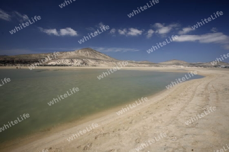 the Playa de Satovento de Jandia on the south of the Island Fuerteventura on the Canary island of Spain in the Atlantic Ocean.