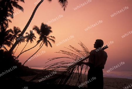 Asien, Indischer Ozean, Sri Lanka,
Ein Traumstrand beim Kuestendorf Hikkaduwa an der Suedwestkueste von Sri Lanka. (URS FLUEELER)






