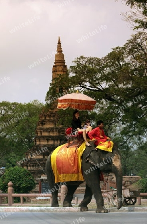 Ein Elephanten Taxi vor einem der vielen Tempel in der Tempelstadt Ayutthaya noerdlich von Bangkok in Thailand.   