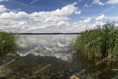 Am Grimnitzsee, Biosph?renreservat Schorfheide, Brandenburg